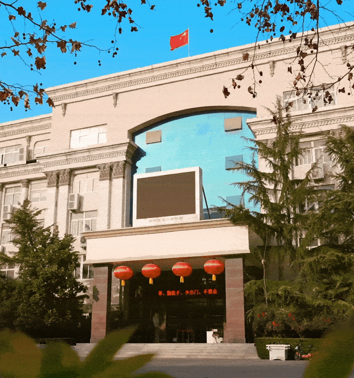看球直播官网入口