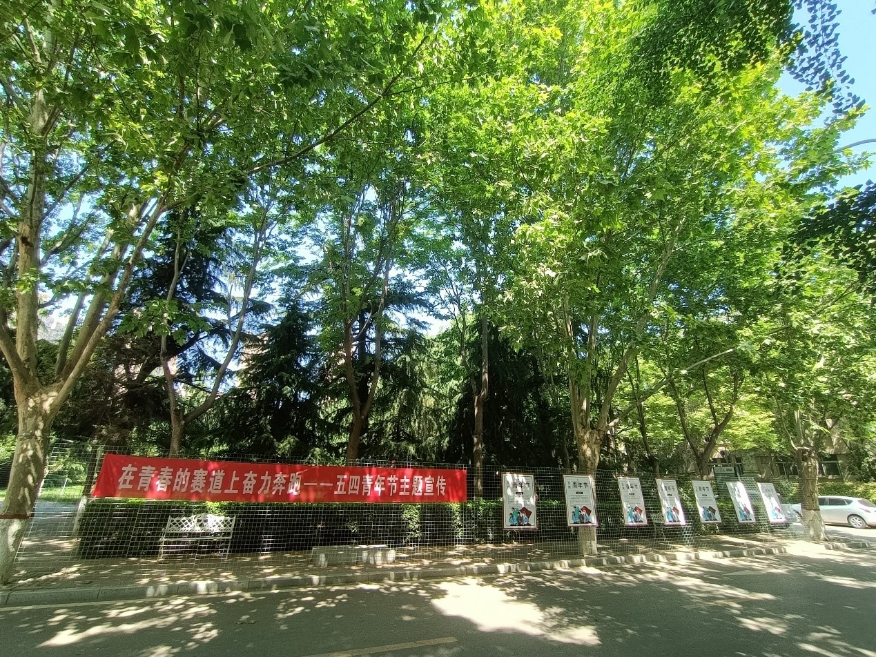 在青春的赛道上奋力奔跑——五四青年节主题宣传展板刊出 在青春的赛道上奋力奔跑——五四青年节主题宣传展板刊出